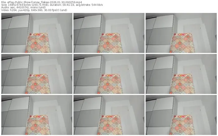 eplay-snow_flakee-01-30-2026-09-02-59